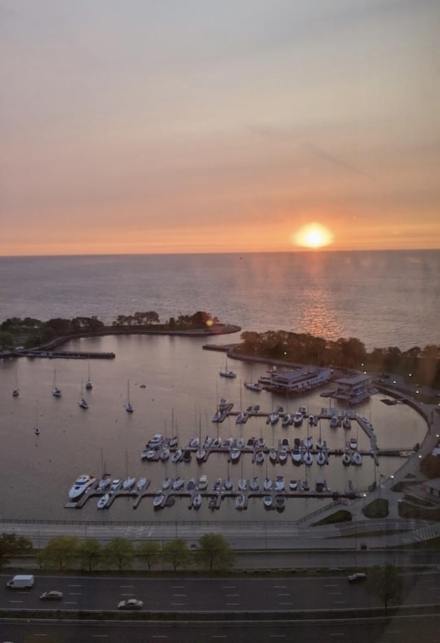 3150 N Lake Shore Dr Unit 30C, Chicago, IL 60657 - water view featuring a marina