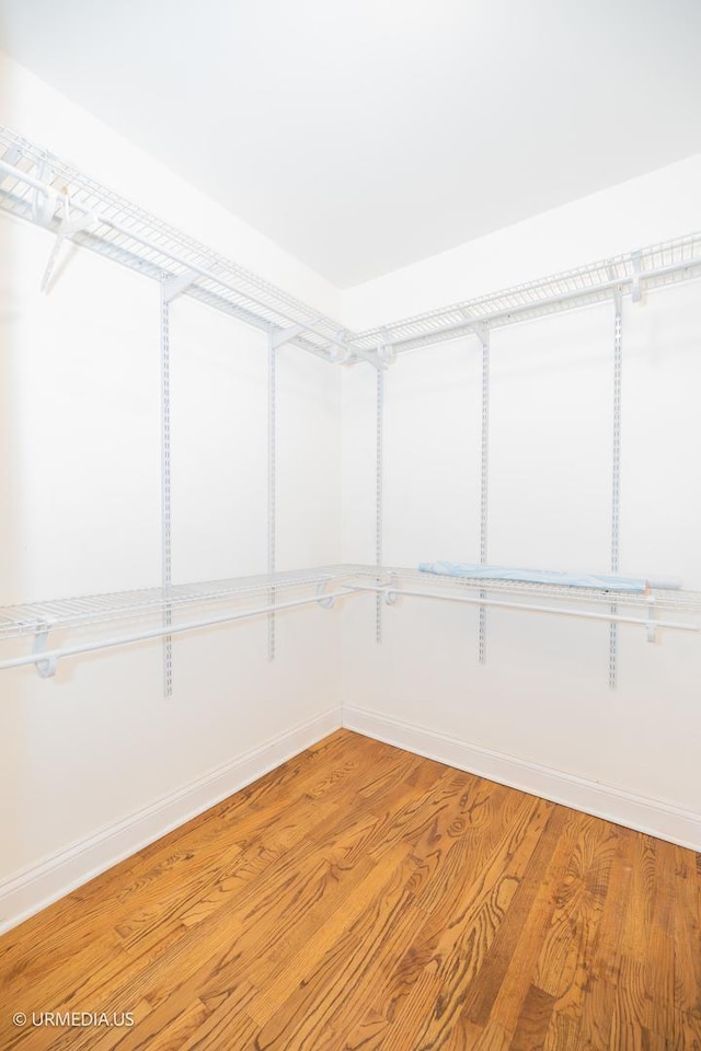 walk in closet with light wood-type flooring