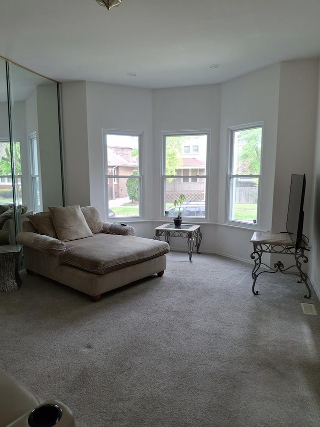 523 E 89th Pl, Chicago, IL 60619 - photo 11