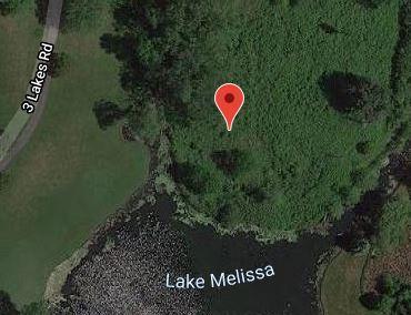 LOT26 Three Lakes Rd, Barrington Hills, IL 60010 - photo 1