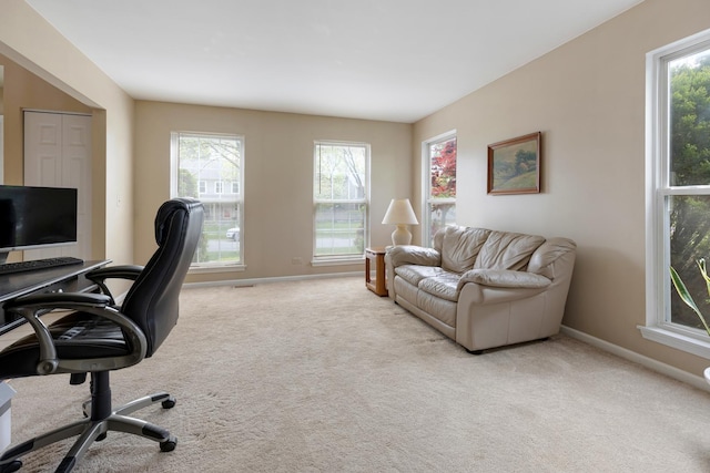 726 W Trl, Grayslake, IL 60030 - carpeted office with plenty of natural light and baseboards