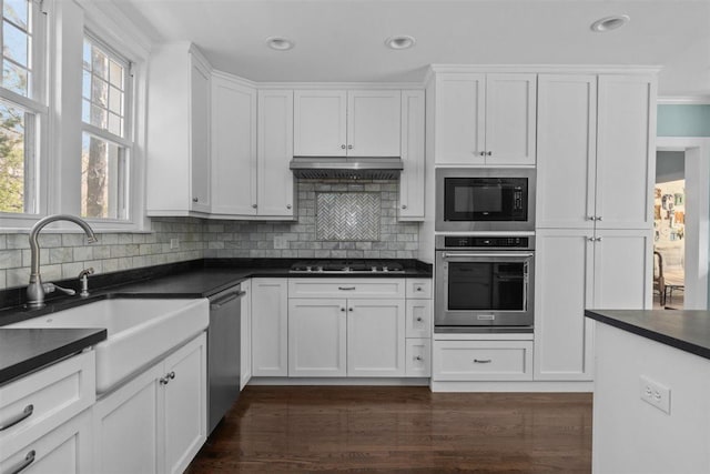 794 Dean Ave, Highland Park, IL 60035 - kitchen featuring stainless steel appliances, a sink, dark countertops, under cabinet range hood, and white cabinetry