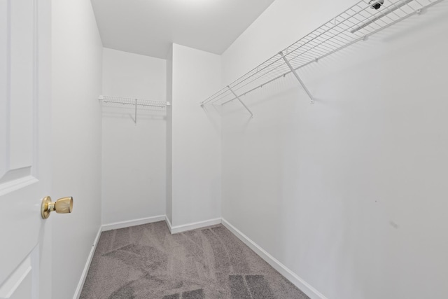 16215 S Trumbull Ave S, Markham, IL 60428 - spacious closet featuring carpet