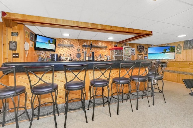 23424 W Winston Ave, Plainfield, IL 60586 - indoor wet bar featuring wooden walls, carpet flooring, and a paneled ceiling