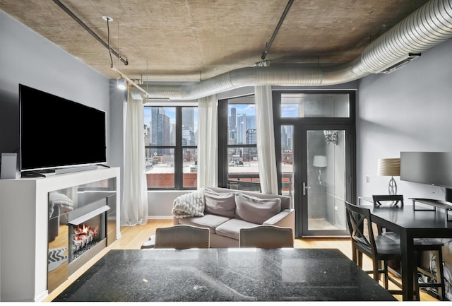 living area featuring wood finished floors and a warm lit fireplace