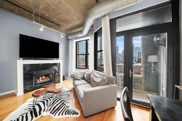 living area featuring rail lighting, wood finished floors, baseboards, and a warm lit fireplace