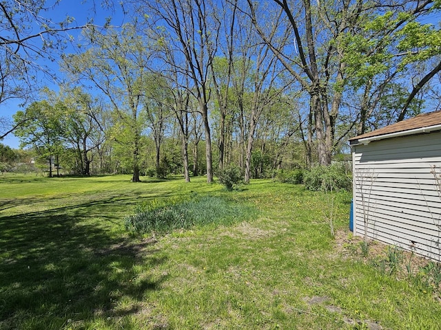 view of green lawn