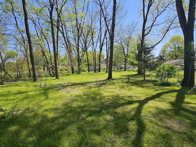view of grassy yard