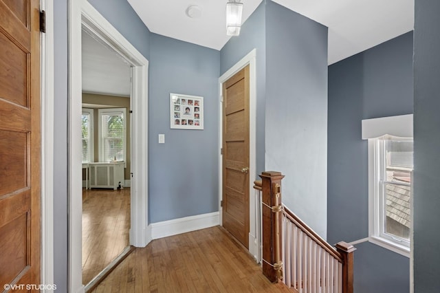 6329 N Hermitage Ave, Chicago, IL 60660 - hallway with an upstairs landing, hardwood / wood-style floors, and baseboards