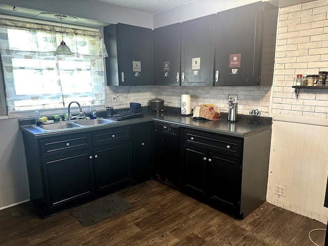 210 W S St, Sheffield, IL 61361 - kitchen with a sink, dark wood finished floors, black dishwasher, dark cabinetry, and dark countertops