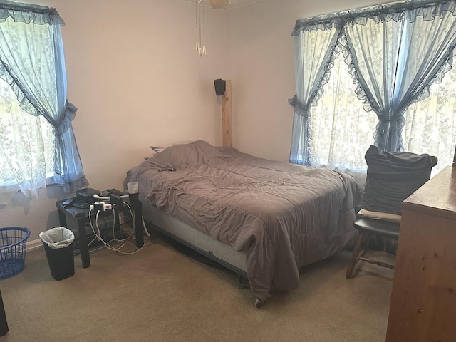 210 W S St, Sheffield, IL 61361 - bedroom featuring carpet