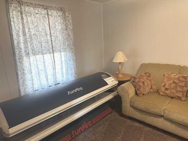 210 W S St, Sheffield, IL 61361 - view of sitting room