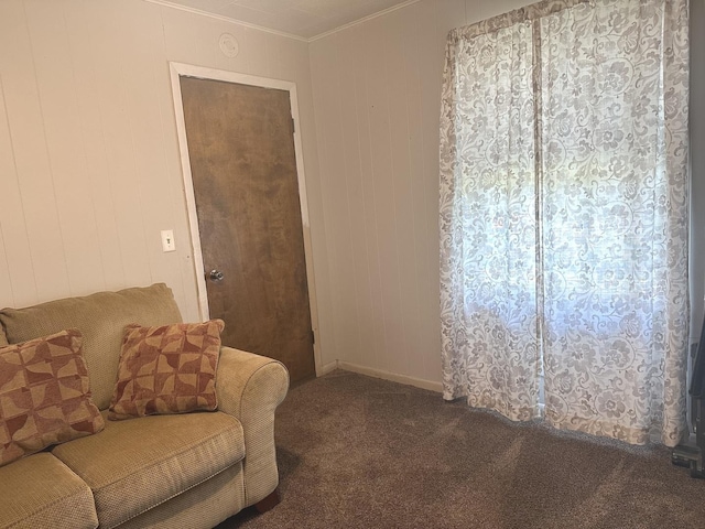 210 W S St, Sheffield, IL 61361 - carpeted living area with crown molding