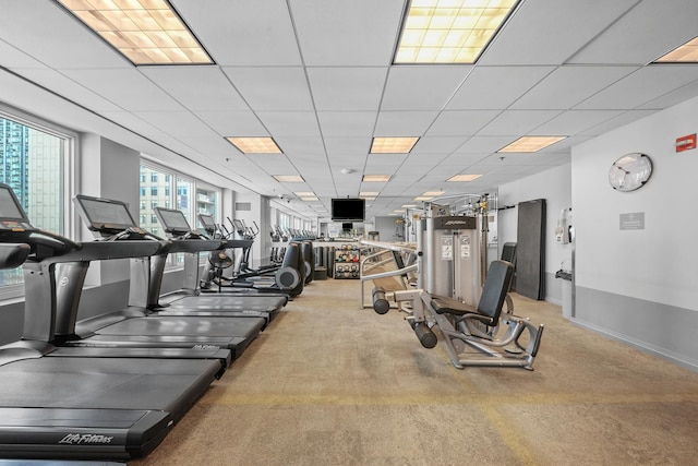 workout area with carpet flooring, a paneled ceiling, and baseboards