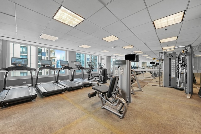 gym with a paneled ceiling and carpet floors