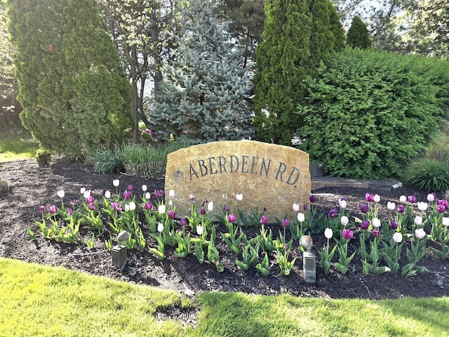 574 Aberdeen Rd, Frankfort, IL 60423 - view of community sign