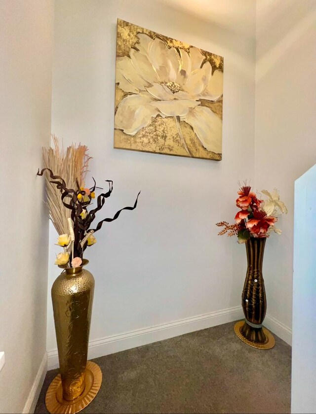 detailed view of baseboards and carpet flooring