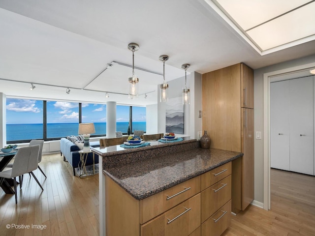 155 N Harbor Dr Unit 2011, Chicago, IL 60601 - kitchen with track lighting, light wood-style floors, dark stone counters, brown cabinets, and pendant lighting