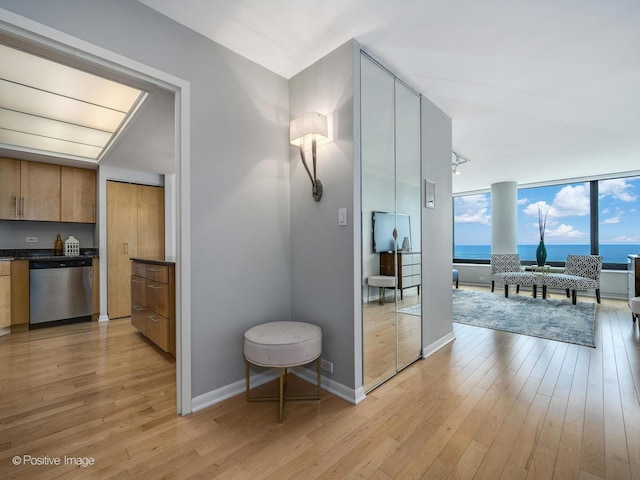 155 N Harbor Dr Unit 2011, Chicago, IL 60601 - hall featuring light wood finished floors