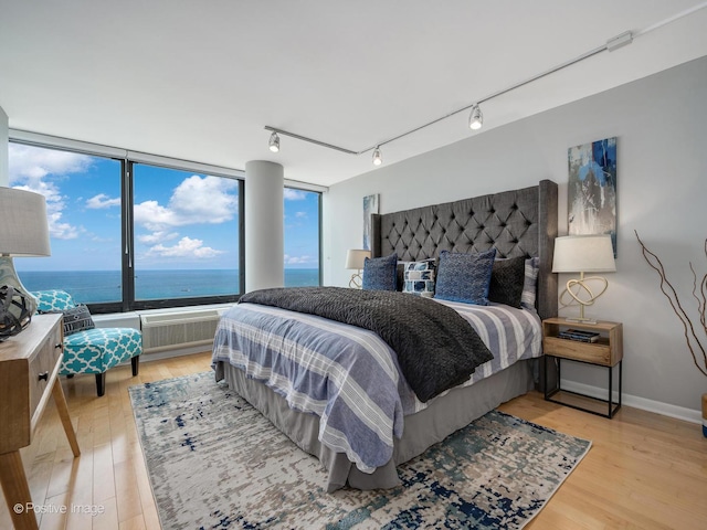 155 N Harbor Dr Unit 2011, Chicago, IL 60601 - bedroom with light wood-style flooring, rail lighting, and a water view