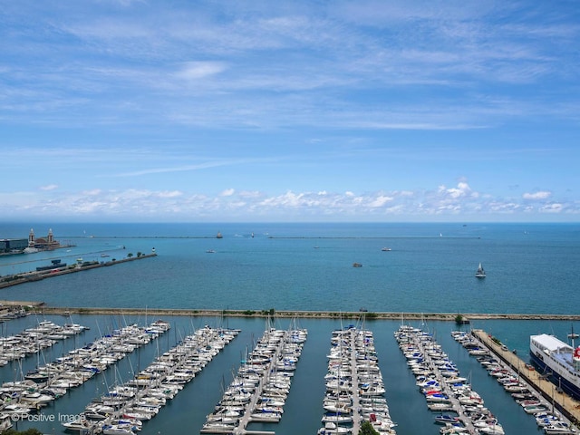 155 N Harbor Dr Unit 2011, Chicago, IL 60601 - water view with a marina