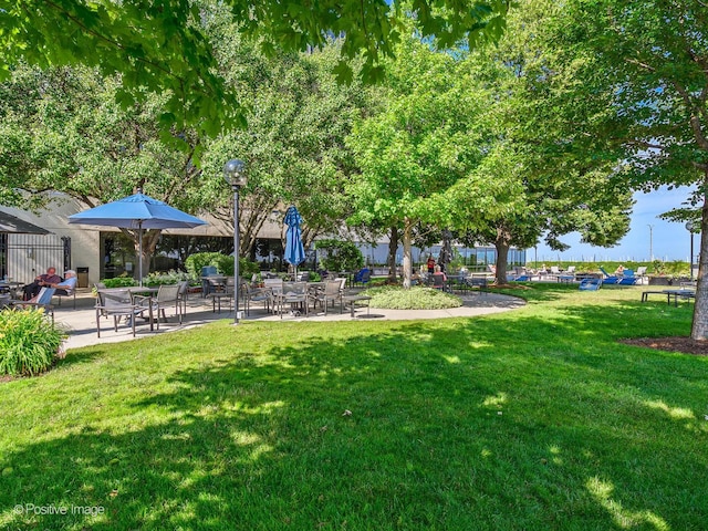 155 N Harbor Dr Unit 2011, Chicago, IL 60601 - view of green lawn