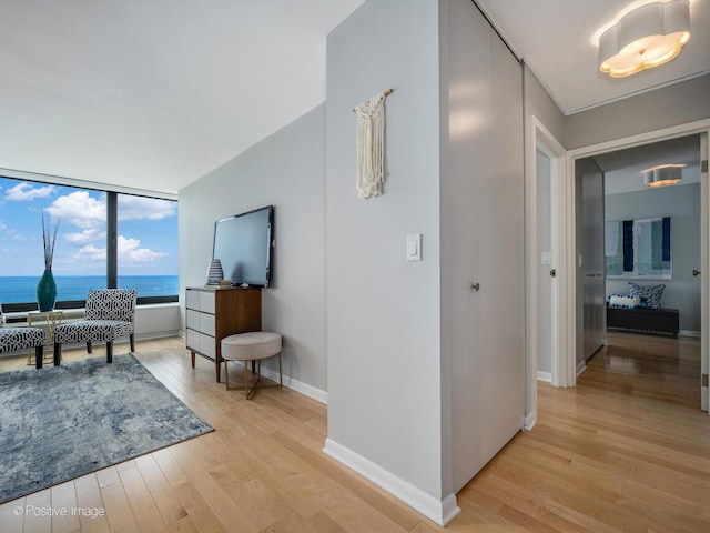 155 N Harbor Dr Unit 2011, Chicago, IL 60601 - hall with light wood-type flooring and baseboards