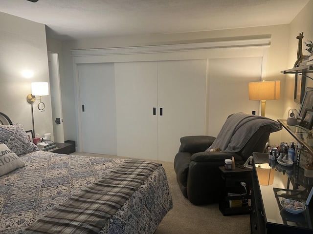 2493 W Mud Creek Rd, Mount Morris, IL 61054 - carpeted bedroom featuring a closet