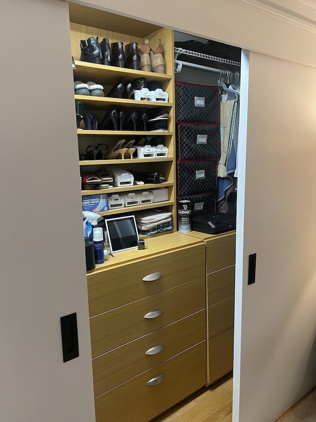 2493 W Mud Creek Rd, Mount Morris, IL 61054 - view of closet