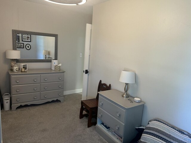 2493 W Mud Creek Rd, Mount Morris, IL 61054 - view of carpeted bedroom