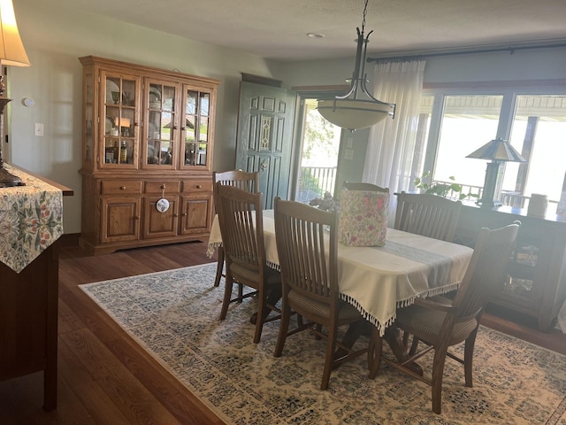 2493 W Mud Creek Rd, Mount Morris, IL 61054 - dining room featuring dark wood-style flooring