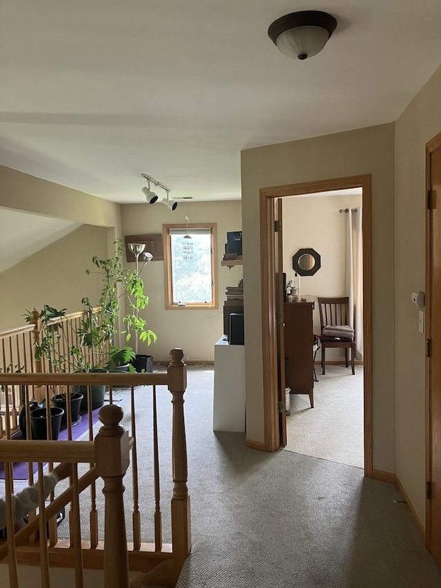 9423 Caledonia Dr, Tinley Park, IL 60487 - corridor featuring carpet flooring