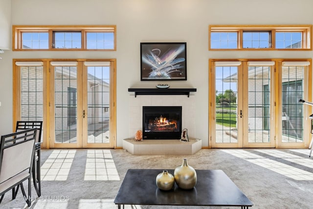 23803 E 3100 N Rd, Dwight, IL 60420 - entryway with carpet floors, healthy amount of natural light, and french doors