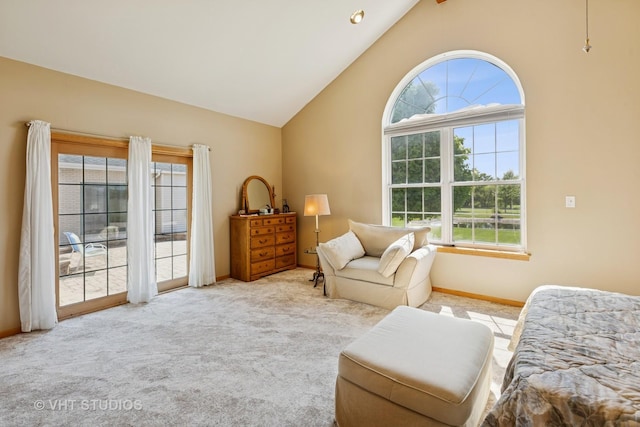 23803 E 3100 N Rd, Dwight, IL 60420 - living area with carpet, baseboards, and high vaulted ceiling
