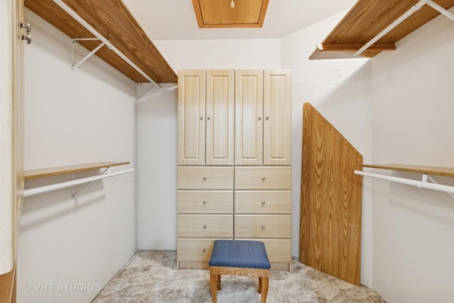 23803 E 3100 N Rd, Dwight, IL 60420 - walk in closet featuring carpet