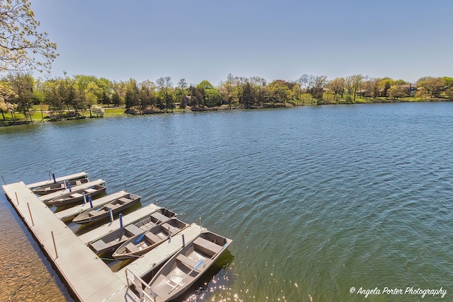 water view featuring a dock
