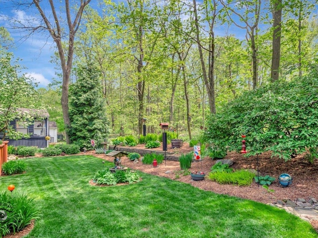 view of grassy yard