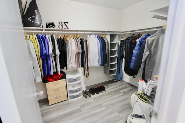 spacious closet featuring light wood finished floors