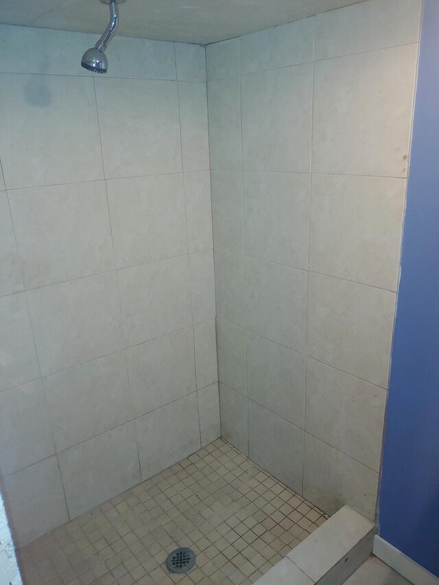 bathroom featuring a stall shower
