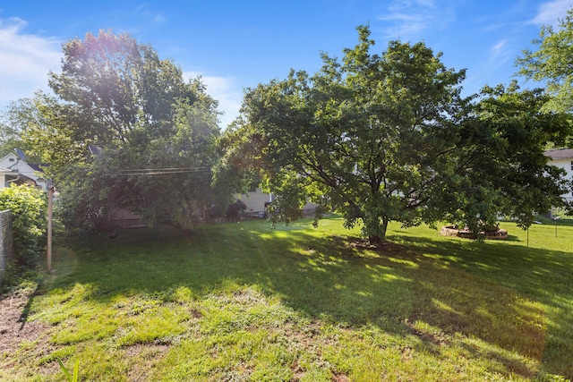 view of grassy yard