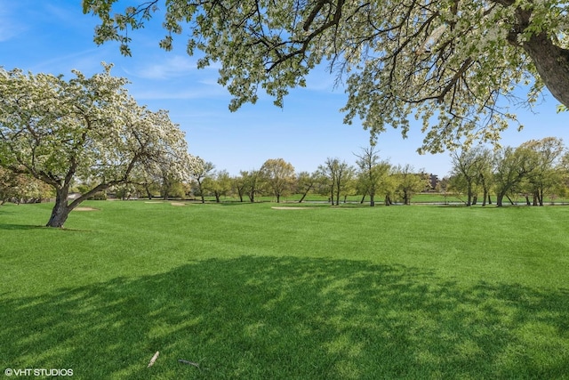 surrounding community featuring a yard