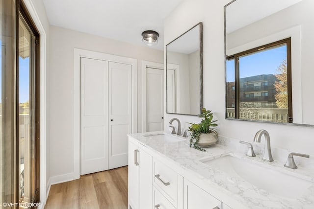 bathroom featuring wood finished floors and double vanity