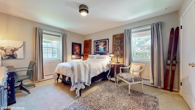 1215 Heather Ln, Glenview, IL 60025 - bedroom featuring carpet floors