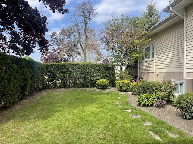 view of yard