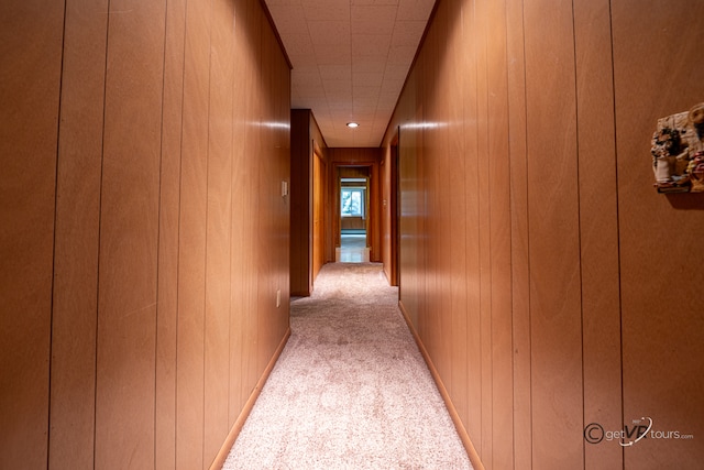 3760 Business 20th Rd, Freeport, IL 61032 - hall with light carpet and wooden walls