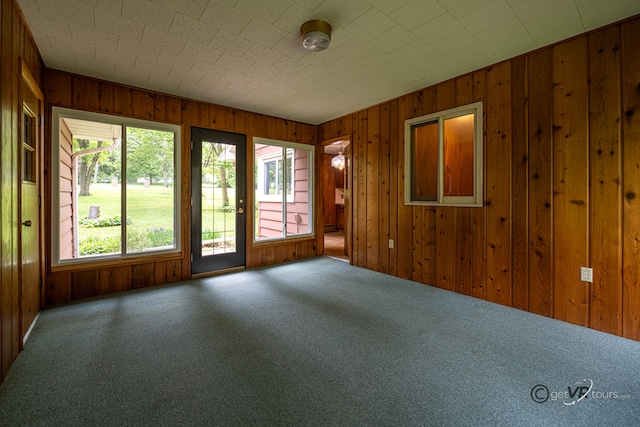3760 Business 20th Rd, Freeport, IL 61032 - empty room featuring wood walls and carpet