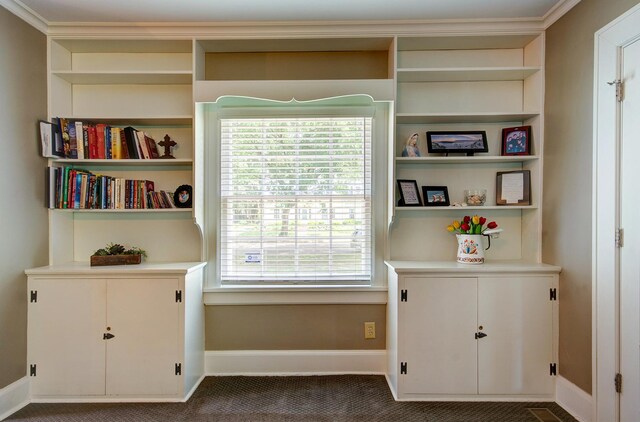 115 S Calumet Ave, Aurora, IL 60506 - detailed view of carpet, baseboards, and crown molding
