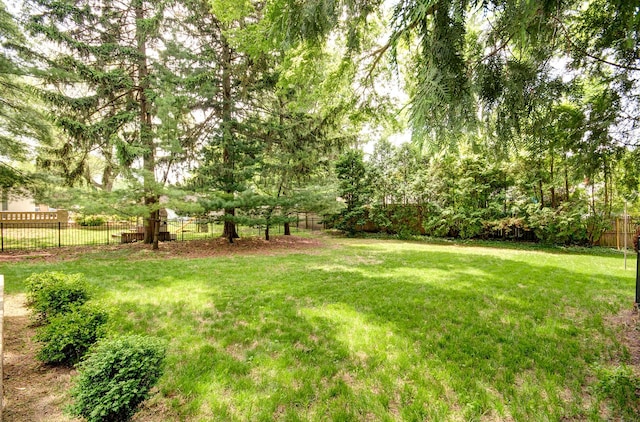115 S Calumet Ave, Aurora, IL 60506 - view of yard