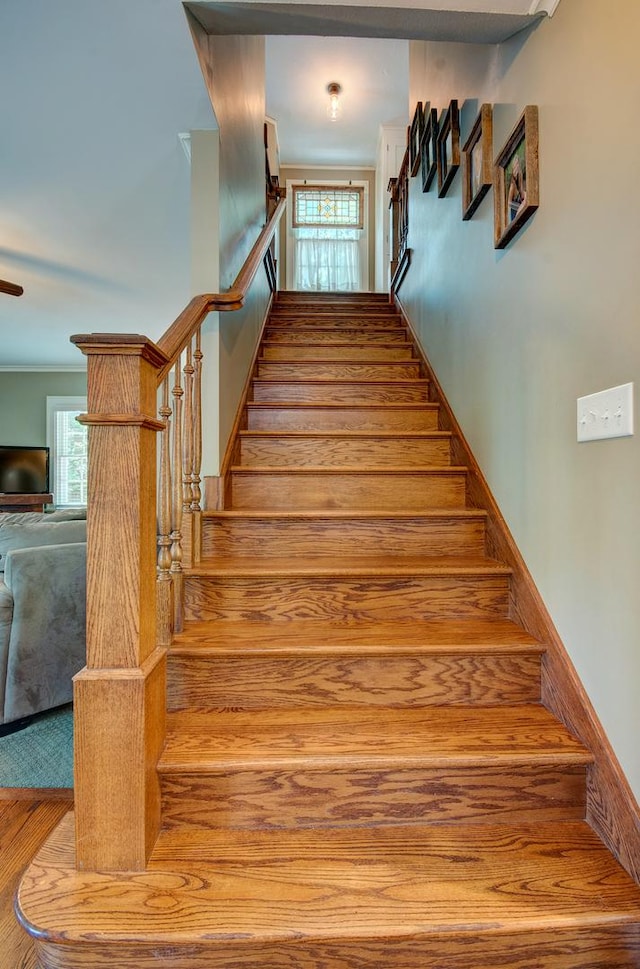 115 S Calumet Ave, Aurora, IL 60506 - staircase with wood finished floors