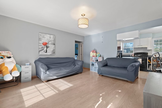 living room featuring light wood-style flooring